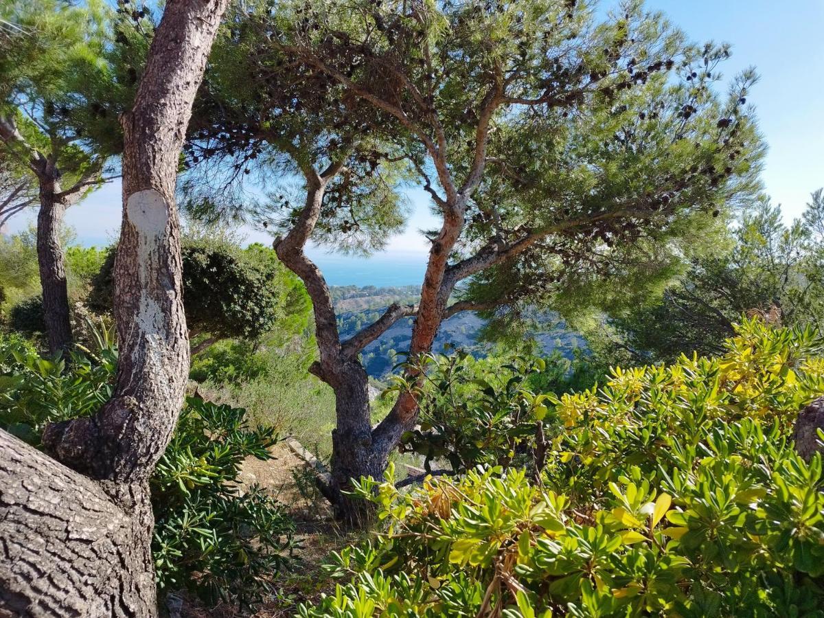 Sweet Calanque - Host Provence Cassis Exterior foto